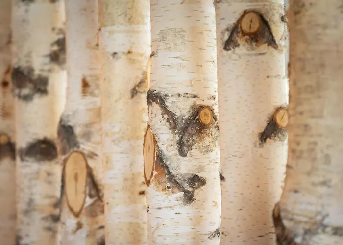 Apartman Landleben In By Interhome *