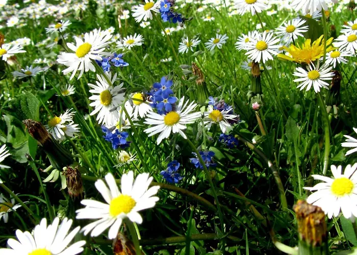 Landleben In By Interhome *